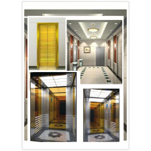 Стильный пассажирский лифт Srh Rose Golden Style